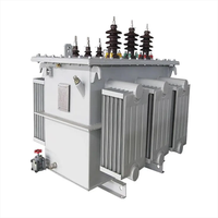 Boîtiers d'instruments électroniques triphasés haute tension 250/315/400/630/800 kVA haute puissance en acier laminé à froid immergé dans l'huile IP65