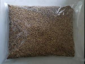 Olesale ICES PICES & ERBs Products Ried Coriander EEDS holesale orioriander - Product Image 4