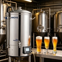 Équipement de microbrasserie miniature 20L 30L 40L 60L, cuve sous pression en acier inoxydable, brasseur de bière pour la fabrication artisanale à domicile