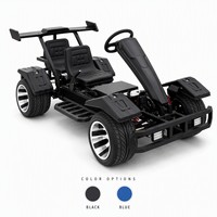 Kart électrique deux places, autonomie 50 km, roues en aluminium de 10 pouces, pour loisirs en plein air, parcs et fermes