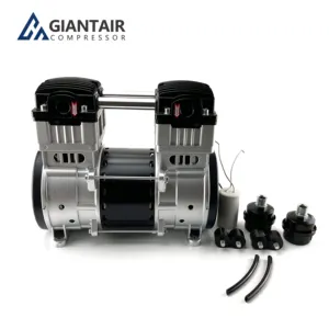 Giantair Dc12v 24V 48V Dc Borstelloze Air Compressor 140 Lpm Air Compressor Motor Groothandel Voor Medische