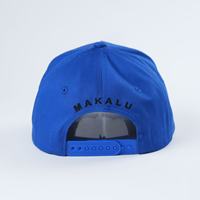 Marque qualité personnaliser Logo mode plat broderie 5 panneaux bord incurvé casquette de Baseball boucle en plastique casquette de Baseball pour unisexe