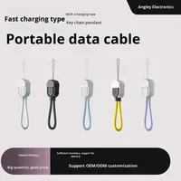 Câble de charge rapide PD 2-en-1 avec cordon de cou anti-perte pour batterie externe, en TPE