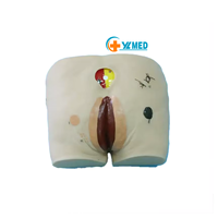 Modelo de Enseñanza de Ciencias Médicas para Úlceras por Decúbito, Modelo de Entrenamiento Médico, Maniquí de Enfermería para el Cuidado de Heridas por Decúbito, CE/ISO