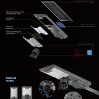 Lampe Solaire Extérieure 100 200 300 500 Watt Led Projecteur Avec Caméra Cctv Solaire Intégré Lampadaire