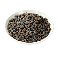 Groothandel Bulk Gedroogde Natuurlijke Ligustri Lucidi Nu Zhen Zi Glansrijke Ligustervruchten Ruwe Kruiden