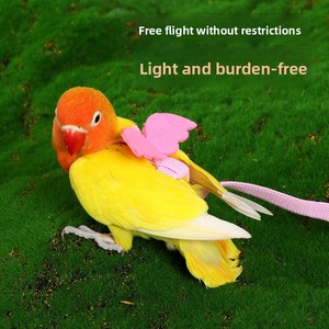 Correa de Cuerda para Pájaros y Loros, Modelo Peony-12, para Macaw, Cockatiel, Tiger Skin, Juguete para Pasear al Aire Libre - Product Image 4