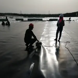 Tali pancing patung Kolam Renang Harga geombrane di pakistan kedap air geombrane lake liner