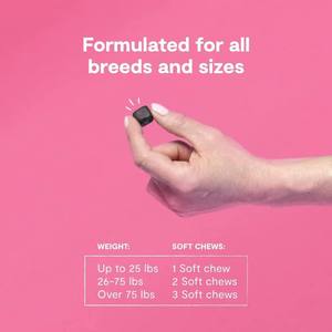 อาหารเสริมสำหรับสุนัขแบบเคี้ยวเนื้อนุ่ม OEM ODM สูตรโปรตีนสูง บำรุงผิวหนังและขน ด้วยกรดไขมันโอเมก้า ช่วยเสริมสร้างภูมิคุ้มกัน โอเมก้าซอฟท์ชิวส์ - Product Image 4