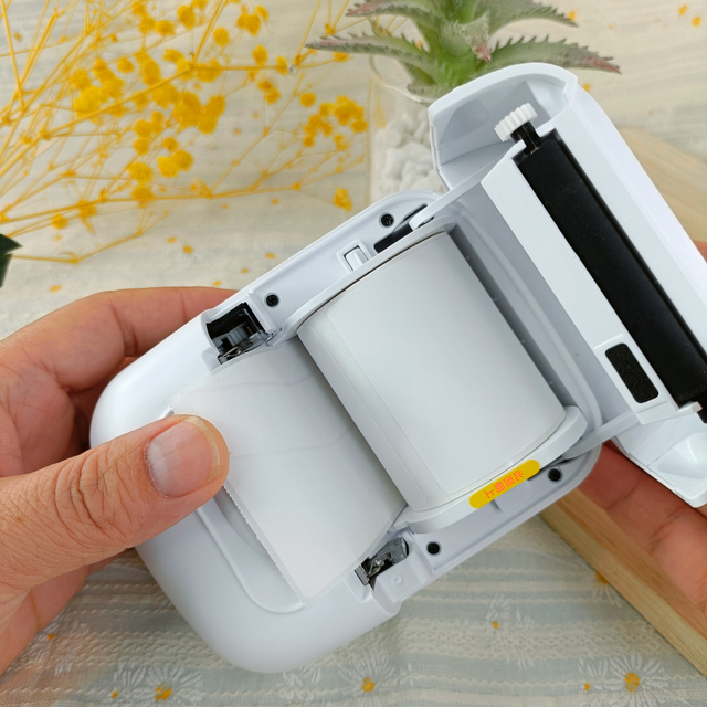 Marklife P50 Thermal Sticker Mini Barcode Label Printer for Jewelry with QR Code & Barcode Features in Stock