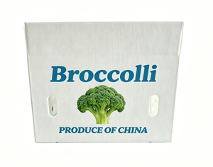 Boîtes pliables en plastique ondulé pour légumes et fruits : asperges, raisins, okra, maïs, brocoli, aubergines, pommes <span class=keywords><strong>de</strong></span> <span class=keywords><strong>terre</strong></span>, oignons - Product Image 4