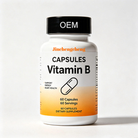 Capsules de Vitamine B à Marque Blanche OEM 500mg/60caps/Bouteille – Acide Folique et Complexe de Vitamine B – Complément Alimentaire