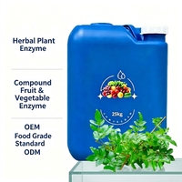 Enzyme liquide d'Ampelopsis de qualité alimentaire, fût de 25 kg, extrait fermenté en vrac, ingrédients pour compléments alimentaires, apaise les intestins, OEM/ODM 24
