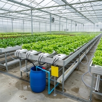 Système de culture hydroponique vertical NFT Seedafarm à haut rendement, haute rigidité, facile à utiliser, pour serres domestiques et fermes, 3 mois
