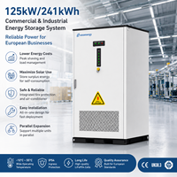 Gabinete de Almacenamiento de Energía Solar Diésel LiFePO4 de 125kW 241kWh para Energía de Respaldo en Centros de Telecomunicaciones Africanos con Diseño Paralelo