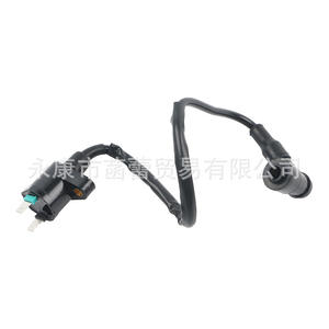 Transformateur d'allumage haute tension compatible avec les véhicules tout-terrain ATV et les motos, système d'allumage électrique pour moto GY6125/70 - Product Image 2