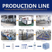Machine professionnelle de remplissage d'eau minérale en acier inoxydable à grande vitesse, machine de lavage, de remplissage et de bouchage d'eau en bouteille 3 en 1