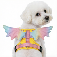 Harnais de poitrine Aile d'Ange avec ailes en nylon 3D, fermeture à boucle, laisse, lavable à la main et en machine pour chats et chiens