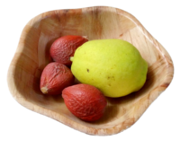 Bol à riz rond Guansen écologique, style coréen, en bois, pour fêtes, artisanat en stock pour la maison