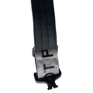 Collare per Cani di Lusso Regolabile in Morbido Neoprene Imbottito con Fibbia in Metallo Resistente e Ricamo in Nylon - Product Image 3