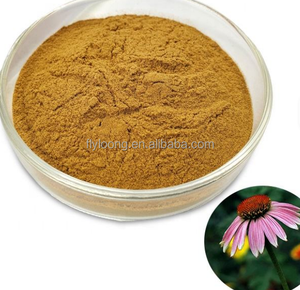 Sıcak satış doğal ekinezya <span class=keywords><strong>Purpurea</strong></span> özü fabrika doğrudan toplu gıda katkısı - Product Image 3