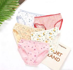 Culottes pour petites filles, douces, écologiques, antistatiques, en coton respirant, culottes triangulaires, imprimé de dessins animés mignons, vente en gros en vrac - Product Image 2