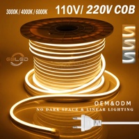 Tira de Neón Flexible IP67 de 12V 1212 120LEDs/M 3000K 4000K 6000K, Silicona Flexible para Paisajismo, Hoteles, Señalización, CE RoHS