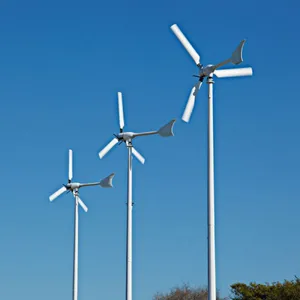 Superieure Kwaliteit Windenergie Mini Turbine 1000W Exw Windturbine 48V Voor Home Power