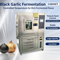 Machine de Fermentation d'Ail Noir à Faible Bruit et Circulation d'Air Silencieuse pour un Espace de Traitement Alimentaire Propre