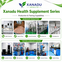 Poudre d'électrolytes XANADU |   Boisson Énergisante Personnalisée OEM aux Saveurs/Recettes de Fruits en Sachets – Hydratation, Énergie, Concentration, Supplément Sportif en Gros