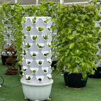 Kit de systèmes de culture pour plantes d'intérieur verticales hydroponiques à effet de serre Système hydroponique de plantation aéroponique