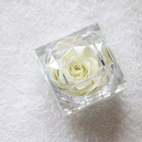 Rose Éternelle Préservée en Gros, Vente Chaude, Cadeau dans Petite Boîte en Cristal pour la Saint-Valentin et Noël