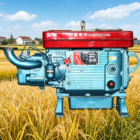 Moteur diesel monocylindre refroidi par eau Changfa ZS1115 à arbre vertical pour l'exploitation minière aurifère en Afrique (vente en gros)