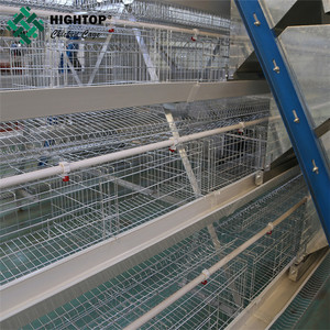 De alta calidad gran granja capa huevo tipo jaula de pollo/aves de corral granja diseño de la casa - Product Image 2