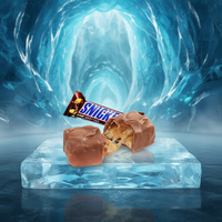 Volledig automatische productielijn voor ontbijtgranen, granola, eiwitrepen en Snickers-achtige producten, inclusief spreiden, koelen, snijden, omhullen en PLC-gestuurde TGMachine.