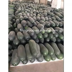 แตงโมฤดูหนาวสดสำหรับแตงโมใหญ่ขายส่ง - Product Image 5