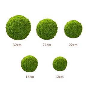 Pared <span class=keywords><strong>de</strong></span> <span class=keywords><strong>musgo</strong></span> real natural <span class=keywords><strong>para</strong></span> decoración <span class=keywords><strong>musgo</strong></span> <span class=keywords><strong>de</strong></span> poste estabilizado Bola <span class=keywords><strong>de</strong></span> <span class=keywords><strong>musgo</strong></span> verde preservada - Product Image 2