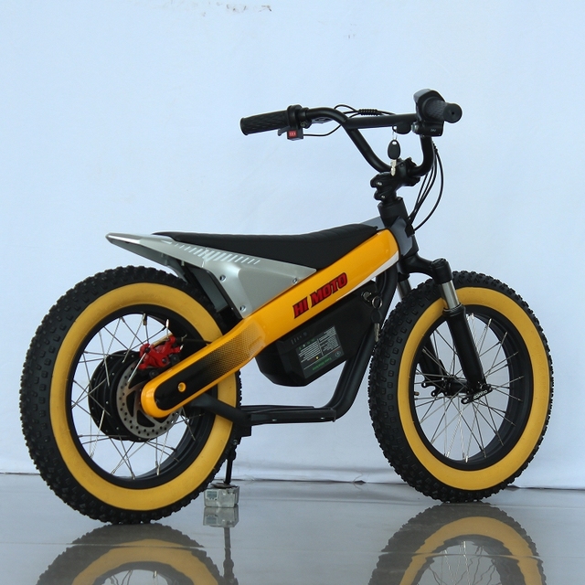 36V 16 Inch Electric Bike 800W Fat Tire Off Road Dirt Ebike Custom Sports Electric Bicycle for Adult