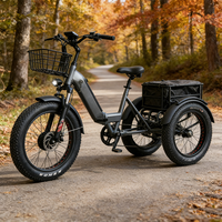 Tricycle électrique cargo pour adultes avec panier de rangement, 750W, trois roues, pliable, batterie au lithium 36V, pneus larges sans balais, pour livraison à domicile