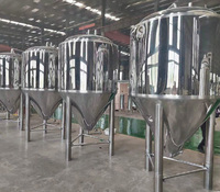 300L 500L 1000L Équipement de fermentation à usage domestique pour le brassage de la bière