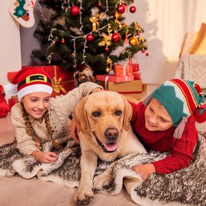 Haute qualité funtery noël tricoté chapeaux hiver Crochet <span class=keywords><strong>bonnet</strong></span> Pom classique chapeau <span class=keywords><strong>de</strong></span> père noël pour enfants adultes famille pour les vacances <span class=keywords><strong>de</strong></span> noël - Product Image 2