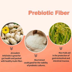 Wholesales Price Probiotic Capsules with 12 Probiotic Strains High Potency Support Gut Health and Immune System Capsules - Product Image 4