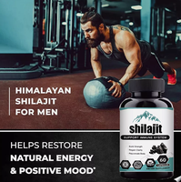 Ausreson OEM Himalayan Pure Shilajit Natural Capsules Price Supplement Black Seed Oil Sea Moss Ashwagandha Shilajit Capsules