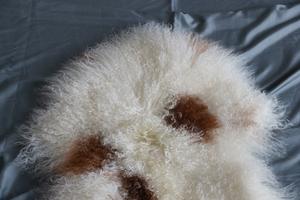 Haute qualité longue <span class=keywords><strong>laine</strong></span> douce <span class=keywords><strong>bouclée</strong></span> couleur naturelle marron blanc moelleux mongol fourrure d'agneau tapis pour <span class=keywords><strong>chaise</strong></span> lit salon - Product Image 4