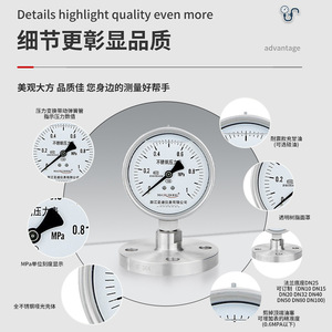 YTP100BF การเชื่อมต่อแบบหน้าแปลน DN25/DN50 ไดอะแฟรมสแตนเลส 316L ที่บุด้วย PTFE ทนต่อแรงกระแทก พร้อมเกจวัดแรงดัน - Product Image 1