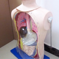 Maniquí de Enfermería Avanzado para Prácticas de Intubación Nasogástrica y Traqueal, para Entrenamiento de Enfermeras en Escuelas y Hospitales, Modelo Corporal