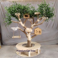 Structure d'escalade multifonctionnelle robuste en bois massif pour chat, avec lit, griffoir et jouet d'éveil, anti-griffures, pour usage domestique intérieur quotidien