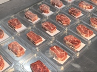 Barquette jetable transparente en PET pour steak et viande, personnalisable avec logo/design, matériau robuste, garde les aliments frais