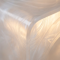Vitrine en acrylique ultra-transparente de qualité muséale avec gravure au micro-laser, forme personnalisée, style art populaire, multi-usages