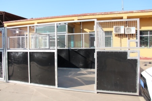 Duurzame HDPE panelen paardenstal met gegalvaniseerd stalen frame, weinig onderhoud, geschikt voor een ranch. - Product Image 4